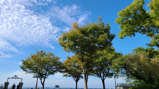 2. 富山の出会いの場